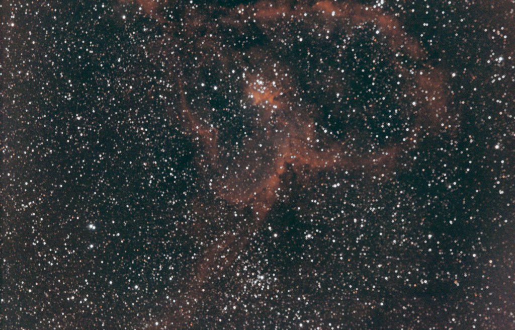 IC1805 medium